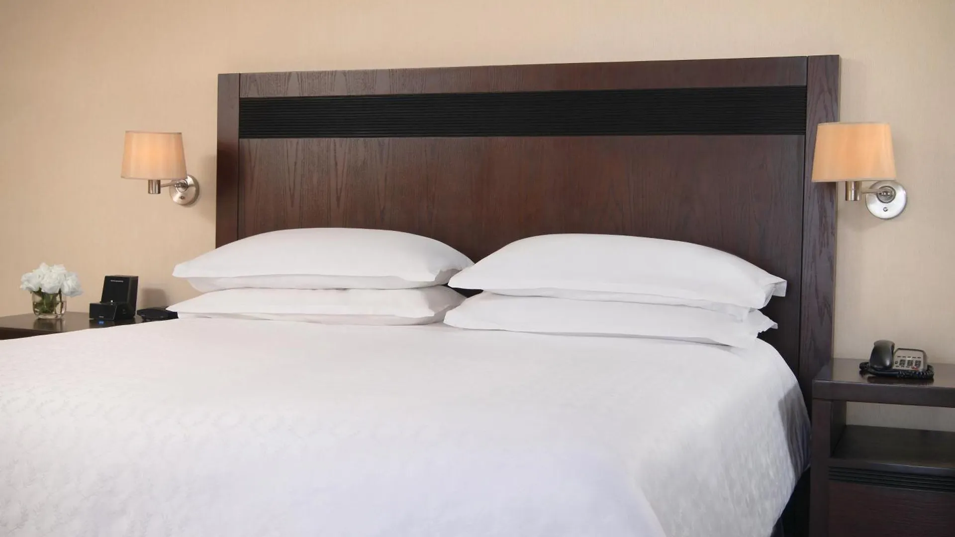 Sheraton סנטו דומינגו 5*,  הרפובליקה הדומיניקנית